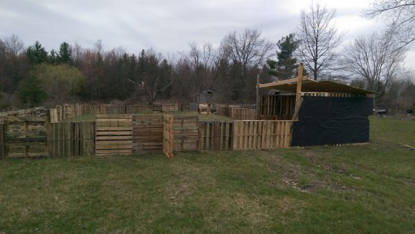 Horse Pasture & Shelter Animal Pallet Houses & Pallet Supplies Horse Pasture & Shelter Animal Pallet Houses & Pallet Supplies
