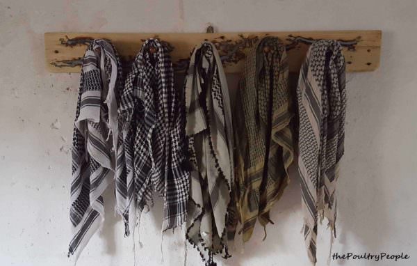Coat Rack – Peg Rail – One Plank Project Pallet Shelves & Pallet Coat Hangers Coat Rack – Peg Rail – One Plank Project Pallet Shelves & Pallet Coat Hangers
