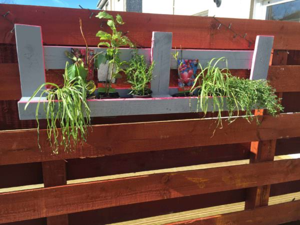 My First Attempt for a Hanging Pallet Planter Pallet Planters & Compost Bins My First Attempt for a Hanging Pallet Planter Pallet Planters & Compost Bins
