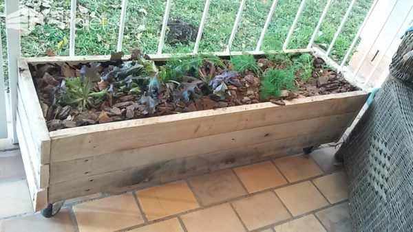 Pallet Herb Planter Boxes / Kruie Tuin Pallet Planters & Compost Bins Pallet Herb Planter Boxes / Kruie Tuin Pallet Planters & Compost Bins
