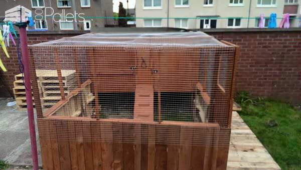 Pallet Chicken Coop Animal Pallet Houses & Pallet Supplies Pallet Chicken Coop Animal Pallet Houses & Pallet Supplies