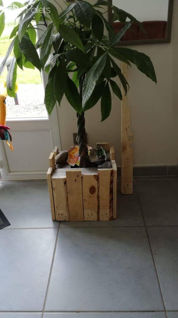 Pencils Holder & Flowerpot Pallet Home Accessories Pencils Holder & Flowerpot Pallet Home Accessories