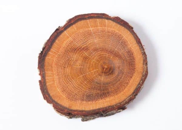 Learn How to Identify the Different Types of Pallet Wood! Learn How to Identify the Different Types of Pallet Wood!