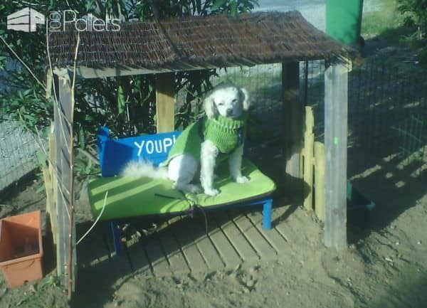 Pallet Dog Bench and Shelter Animal Pallet Houses & Pallet Supplies Pallet Dog Bench and Shelter Animal Pallet Houses & Pallet Supplies