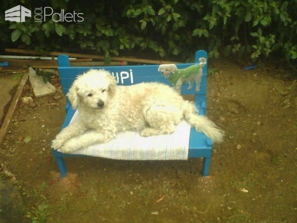 Pallet Dog Bench and Shelter Animal Pallet Houses & Pallet Supplies Pallet Dog Bench and Shelter Animal Pallet Houses & Pallet Supplies