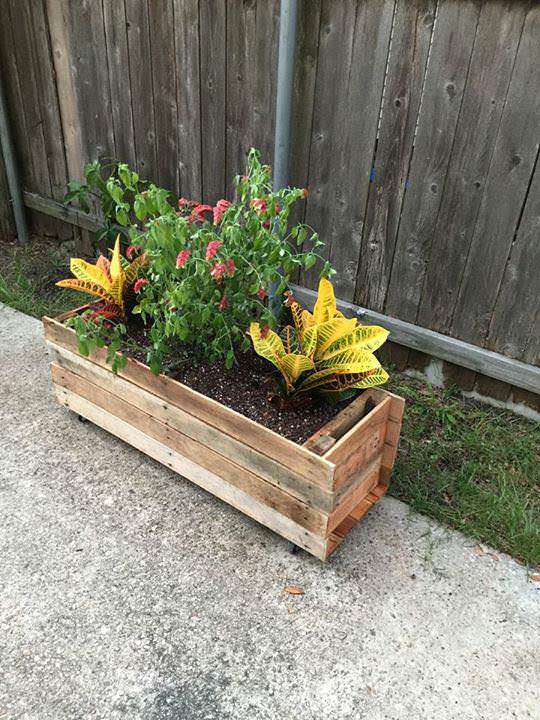 Rolling Pallet Planter Pallet Planters & Compost Bins Rolling Pallet Planter Pallet Planters & Compost Bins