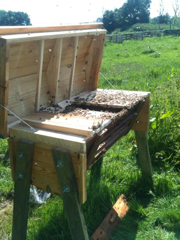Top Bar Pallet Beehive Animal Pallet Houses & Pallet Supplies Top Bar Pallet Beehive Animal Pallet Houses & Pallet Supplies