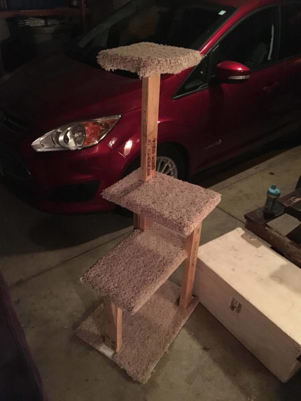 Purrrrfect Pallet Cat Tree Animal Pallet Houses & Pallet Supplies Purrrrfect Pallet Cat Tree Animal Pallet Houses & Pallet Supplies