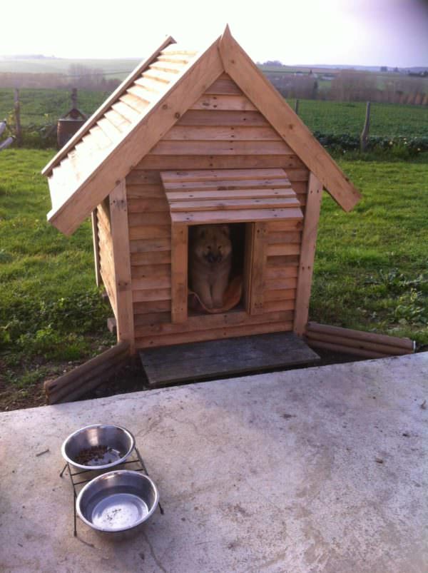 Delightful Pallet Doghouse / Cabane Pour Notre Chienne Tout En Palettes Animal Pallet Houses & Pallet Supplies Delightful Pallet Doghouse / Cabane Pour Notre Chienne Tout En Palettes Animal Pallet Houses & Pallet Supplies