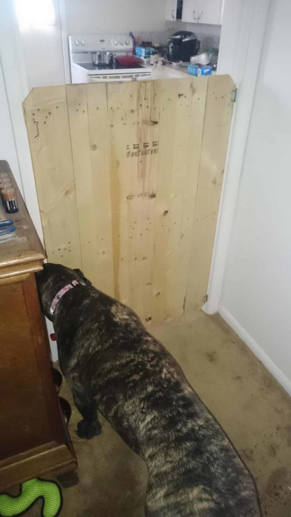 Effective Pallet 4-legged Baby Gate/Door Pallet Walls & Pallet Doors Effective Pallet 4-legged Baby Gate/Door Pallet Walls & Pallet Doors