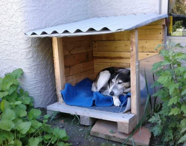 Snuggly Pallet Doghouse Lounger Animal Pallet Houses & Pallet Supplies Snuggly Pallet Doghouse Lounger Animal Pallet Houses & Pallet Supplies