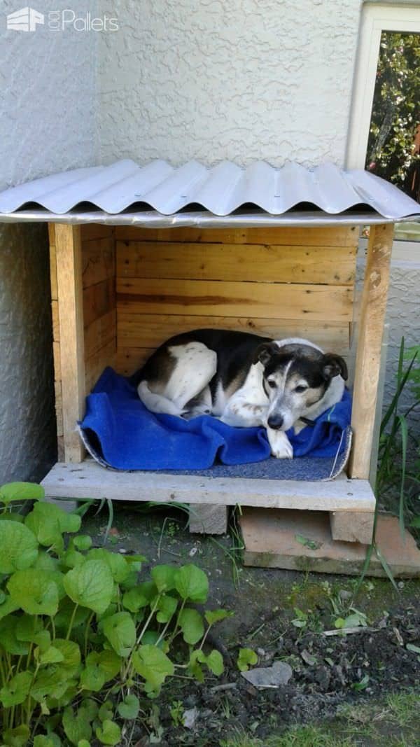 Snuggly Pallet Doghouse Lounger Animal Pallet Houses & Pallet Supplies Snuggly Pallet Doghouse Lounger Animal Pallet Houses & Pallet Supplies