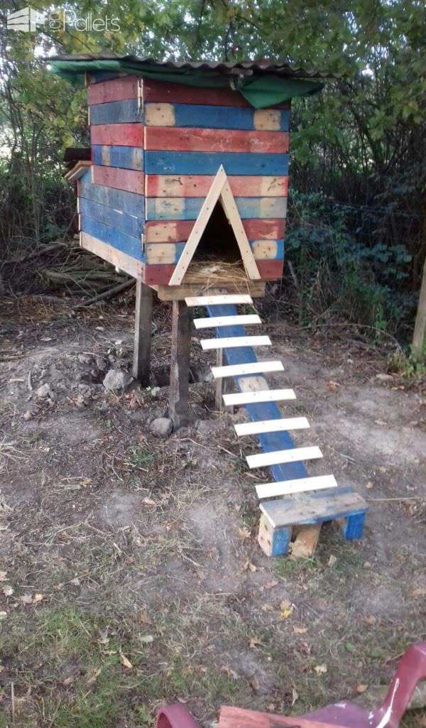 Terrific Angry Bird Chicken Coop/Poulailler Anti Renard Angry Birds Animal Pallet Houses & Pallet Supplies Terrific Angry Bird Chicken Coop/Poulailler Anti Renard Angry Birds Animal Pallet Houses & Pallet Supplies