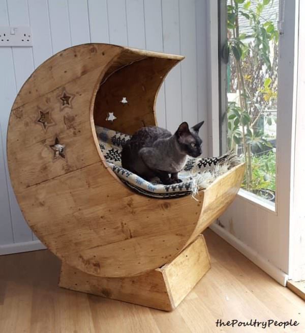 Led-lit Pallet Moon Cradle For Kitty Animal Pallet Houses & Pallet Supplies Led-lit Pallet Moon Cradle For Kitty Animal Pallet Houses & Pallet Supplies