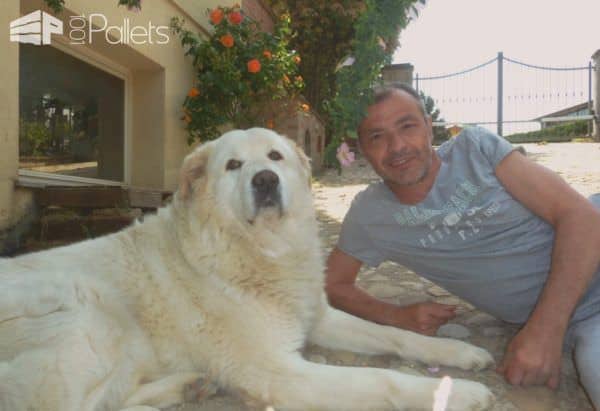 Pallet Crafter Interview #14: Alessandro Fargnoli Pallet Crafter Interviews Pallet Crafter Interview #14: Alessandro Fargnoli Pallet Crafter Interviews