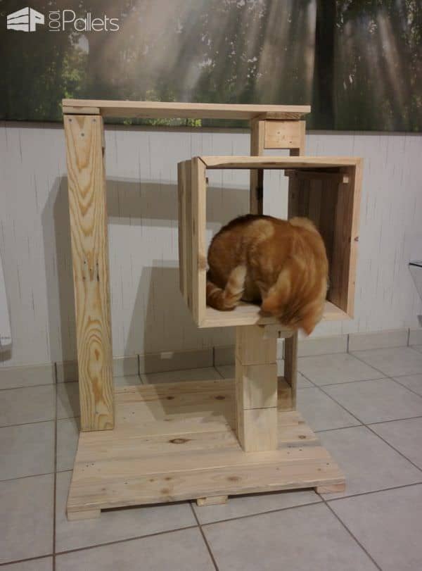 Petite Pallet Cat Tree / Arbre à Chat Animal Pallet Houses & Pallet Supplies Petite Pallet Cat Tree / Arbre à Chat Animal Pallet Houses & Pallet Supplies