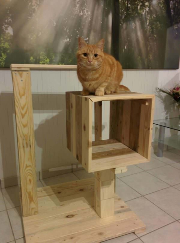 Petite Pallet Cat Tree / Arbre à Chat Animal Pallet Houses & Pallet Supplies Petite Pallet Cat Tree / Arbre à Chat Animal Pallet Houses & Pallet Supplies