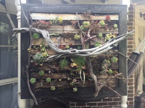 Vertical Pallet Gardens Made Stronger; Lasts Longer! Pallet Planters & Compost Bins Vertical Pallet Gardens Made Stronger; Lasts Longer! Pallet Planters & Compost Bins