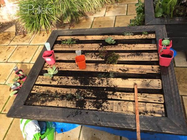 Vertical Pallet Gardens Made Stronger; Lasts Longer! Pallet Planters & Compost Bins Vertical Pallet Gardens Made Stronger; Lasts Longer! Pallet Planters & Compost Bins