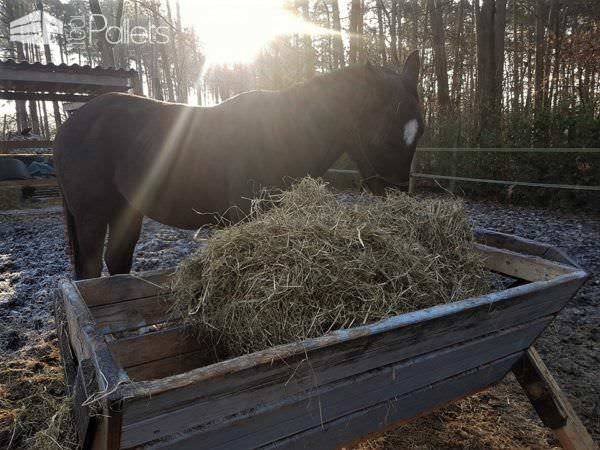 Pallet Hay Bins – Horses Love Using Them Animal Pallet Houses & Pallet Supplies Pallet Hay Bins – Horses Love Using Them Animal Pallet Houses & Pallet Supplies