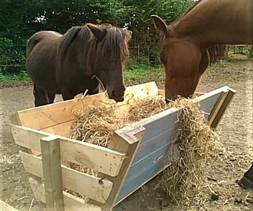 Pallet Hay Bins – Horses Love Using Them Animal Pallet Houses & Pallet Supplies Pallet Hay Bins – Horses Love Using Them Animal Pallet Houses & Pallet Supplies