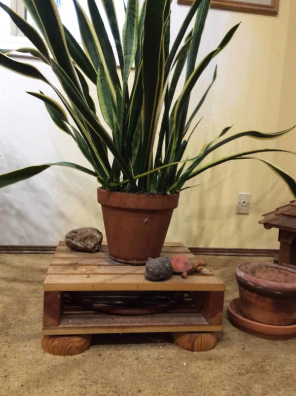Palletized Plant Stand System For Healthier Plants Pallet Home Accessories Palletized Plant Stand System For Healthier Plants Pallet Home Accessories