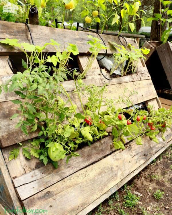 The Most Perfect Raised Garden Beds Made out of Pallets Pallet Planters & Compost Bins The Most Perfect Raised Garden Beds Made out of Pallets Pallet Planters & Compost Bins