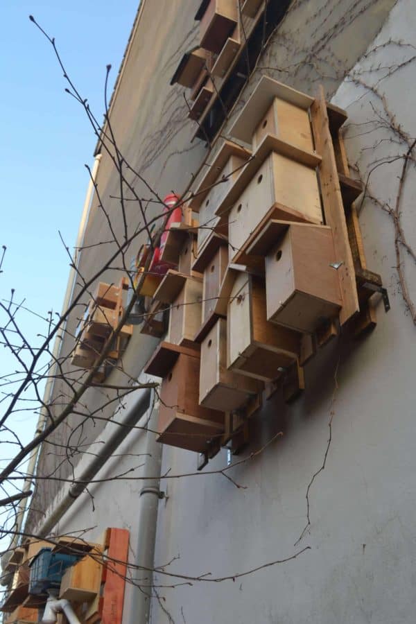 Our Best Pallet Chicken Coops, Hutches & Cages Animal Pallet Houses & Pallet Supplies Our Best Pallet Chicken Coops, Hutches & Cages Animal Pallet Houses & Pallet Supplies