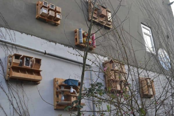 Our Best Pallet Chicken Coops, Hutches & Cages Animal Pallet Houses & Pallet Supplies Our Best Pallet Chicken Coops, Hutches & Cages Animal Pallet Houses & Pallet Supplies
