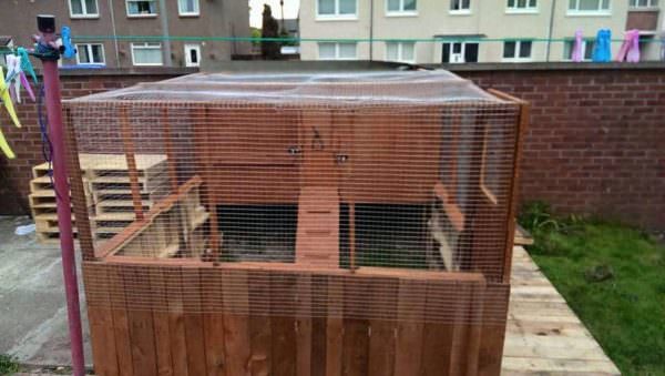 Our Best Pallet Chicken Coops, Hutches & Cages Animal Pallet Houses & Pallet Supplies Our Best Pallet Chicken Coops, Hutches & Cages Animal Pallet Houses & Pallet Supplies