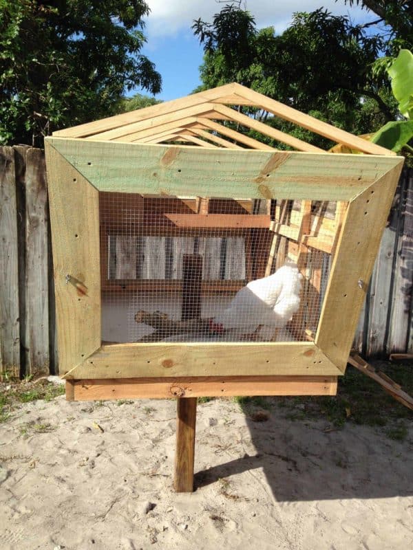 Our Best Pallet Chicken Coops, Hutches & Cages Animal Pallet Houses & Pallet Supplies Our Best Pallet Chicken Coops, Hutches & Cages Animal Pallet Houses & Pallet Supplies