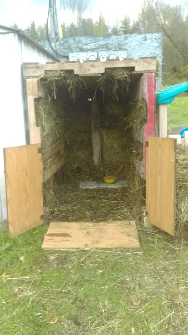 Pallet Cat Barn Keeps Kitty Purrfectly Warm! Animal Pallet Houses & Pallet Supplies Pallet Cat Barn Keeps Kitty Purrfectly Warm! Animal Pallet Houses & Pallet Supplies