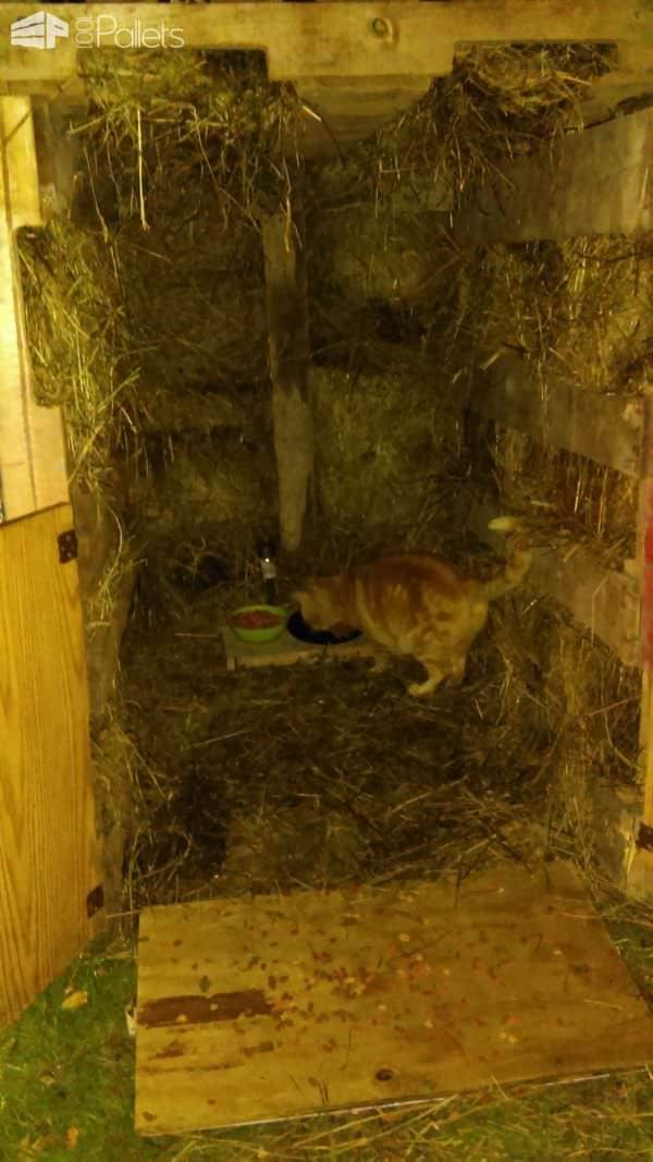 Pallet Cat Barn Keeps Kitty Purrfectly Warm! Animal Pallet Houses & Pallet Supplies Pallet Cat Barn Keeps Kitty Purrfectly Warm! Animal Pallet Houses & Pallet Supplies