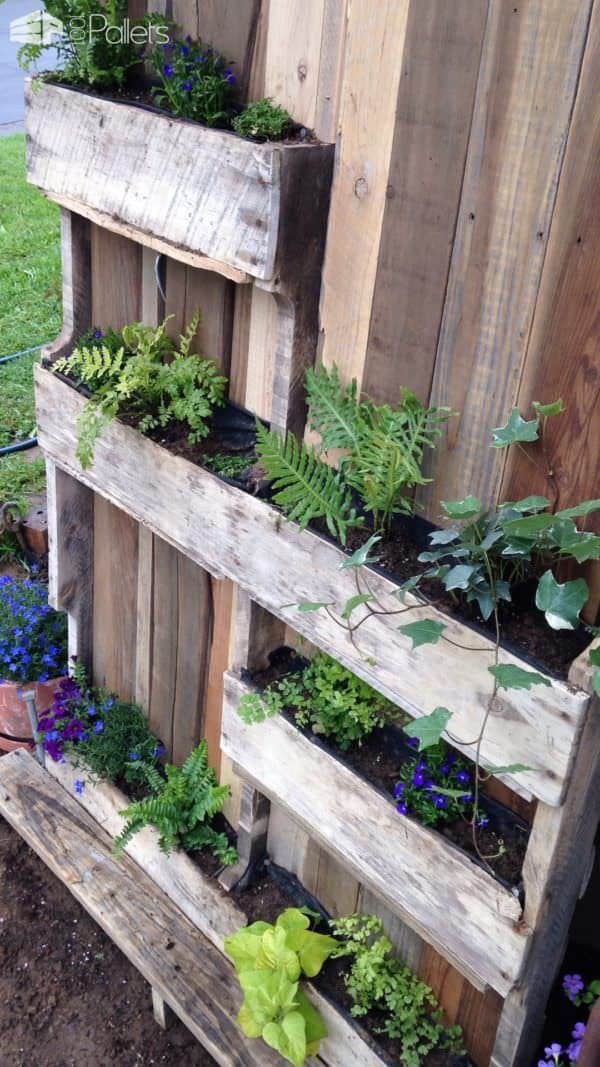 Ornamental Pallet Vertical Shade Garden Pallet Planters & Compost Bins Ornamental Pallet Vertical Shade Garden Pallet Planters & Compost Bins