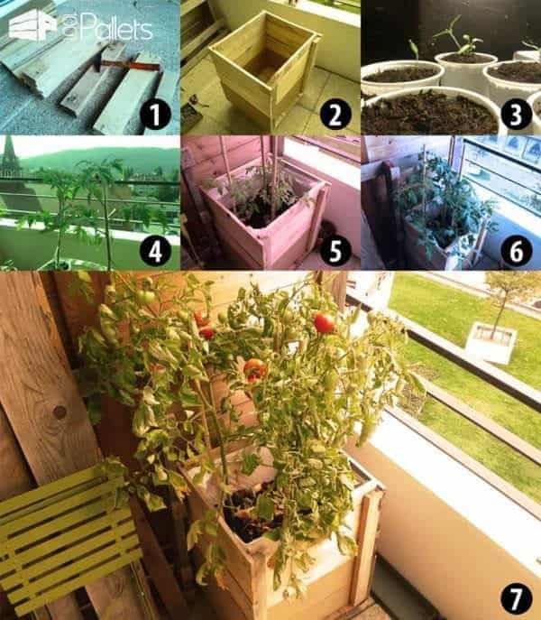 Top 34 Creative Pallet Garden Ideas For Springtime! Pallets in the Garden Top 34 Creative Pallet Garden Ideas For Springtime! Pallets in the Garden