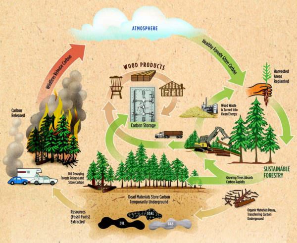 How Recycling Wood Pallets Helps Save the Planet Other Pallet Projects How Recycling Wood Pallets Helps Save the Planet Other Pallet Projects