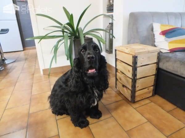 Cute Little Pallet Side Table Pallet Coffee Tables Pallet Lamps & Lights Pallet Tutorials Cute Little Pallet Side Table Pallet Coffee Tables Pallet Lamps & Lights Pallet Tutorials