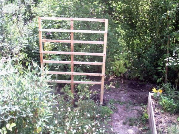 Pallet Trellis Accessorizes Raised Garden Beds Pallet Planters & Compost Bins Pallet Trellis Accessorizes Raised Garden Beds Pallet Planters & Compost Bins