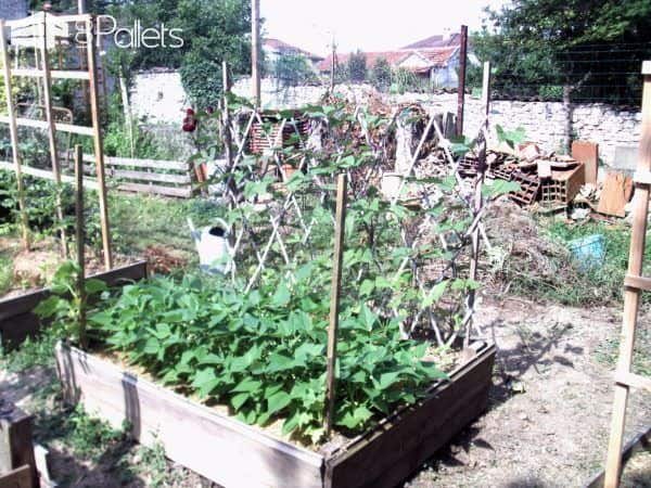 Pallet Trellis Accessorizes Raised Garden Beds Pallet Planters & Compost Bins Pallet Trellis Accessorizes Raised Garden Beds Pallet Planters & Compost Bins