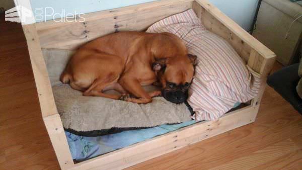 Pamper Your Pup: 11 Plush Pallet Dog Bed Ideas For You! Animal Pallet Houses & Pallet Supplies Pamper Your Pup: 11 Plush Pallet Dog Bed Ideas For You! Animal Pallet Houses & Pallet Supplies
