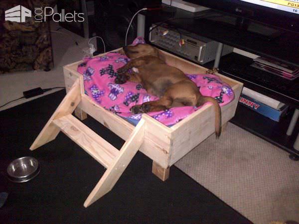 Pamper Your Pup: 11 Plush Pallet Dog Bed Ideas For You! Animal Pallet Houses & Pallet Supplies Pamper Your Pup: 11 Plush Pallet Dog Bed Ideas For You! Animal Pallet Houses & Pallet Supplies