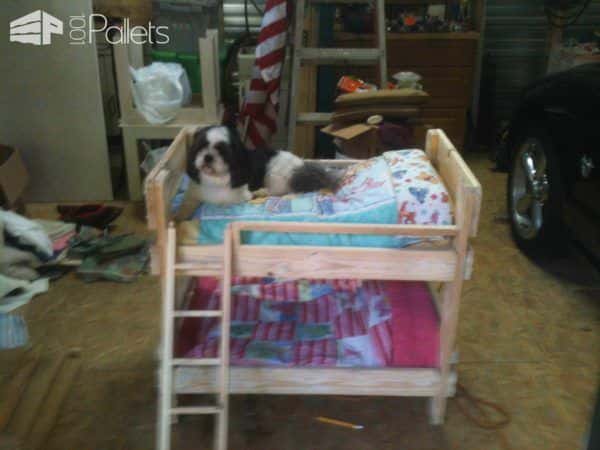 Pamper Your Pup: 11 Plush Pallet Dog Bed Ideas For You! Animal Pallet Houses & Pallet Supplies Pamper Your Pup: 11 Plush Pallet Dog Bed Ideas For You! Animal Pallet Houses & Pallet Supplies