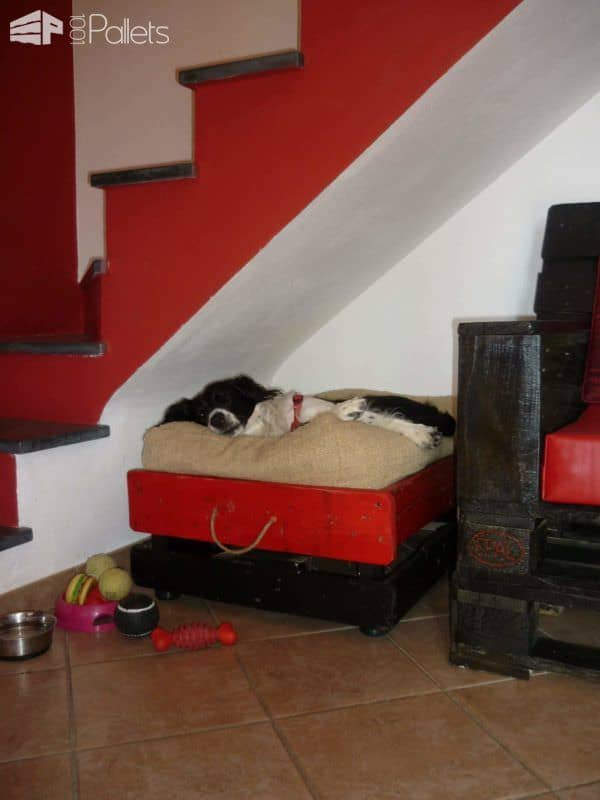 Pamper Your Pup: 11 Plush Pallet Dog Bed Ideas For You! Animal Pallet Houses & Pallet Supplies Pamper Your Pup: 11 Plush Pallet Dog Bed Ideas For You! Animal Pallet Houses & Pallet Supplies