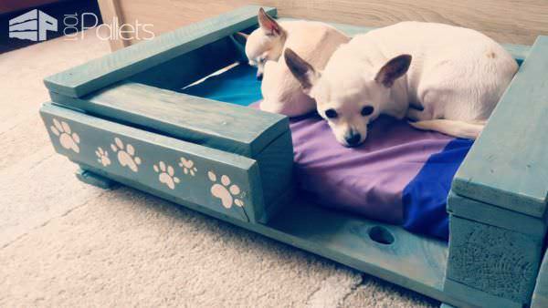 Pamper Your Pup: 11 Plush Pallet Dog Bed Ideas For You! Animal Pallet Houses & Pallet Supplies Pamper Your Pup: 11 Plush Pallet Dog Bed Ideas For You! Animal Pallet Houses & Pallet Supplies