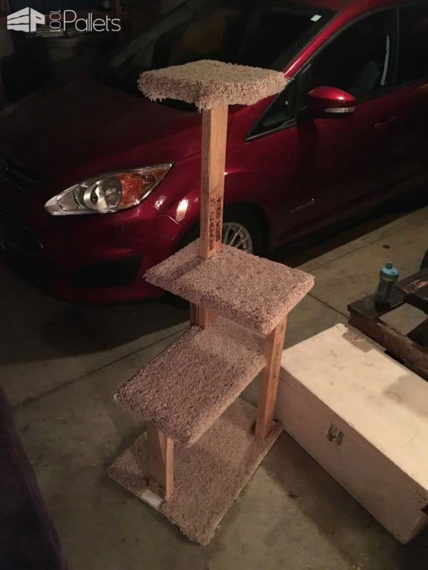 Cat Pallet Projects: Here Are 10 Amazing Ideas For Them! Animal Pallet Houses & Pallet Supplies Cat Pallet Projects: Here Are 10 Amazing Ideas For Them! Animal Pallet Houses & Pallet Supplies