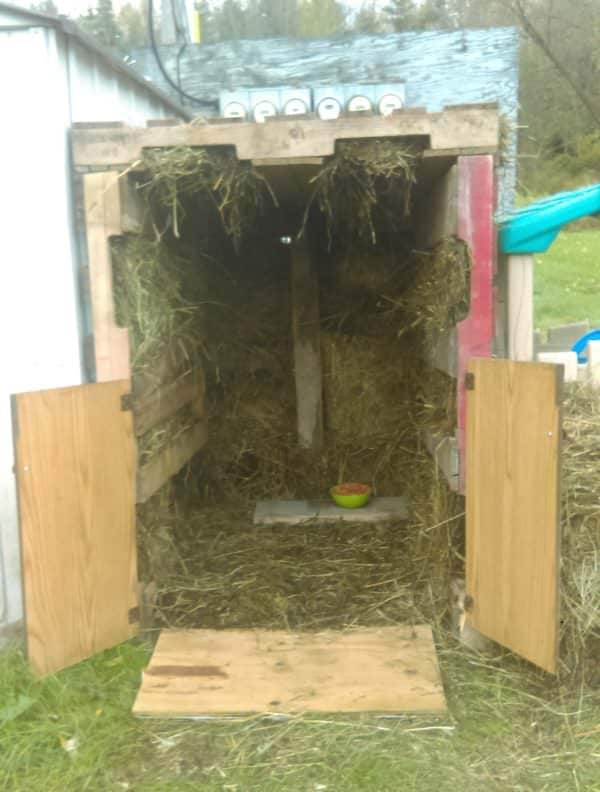 Cat Pallet Projects: Here Are 10 Amazing Ideas For Them! Animal Pallet Houses & Pallet Supplies Cat Pallet Projects: Here Are 10 Amazing Ideas For Them! Animal Pallet Houses & Pallet Supplies