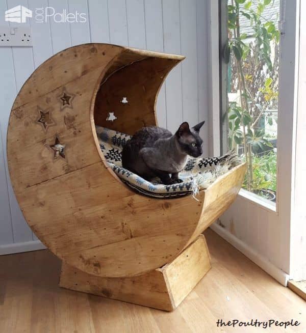 Cat Pallet Projects: Here Are 10 Amazing Ideas For Them! Animal Pallet Houses & Pallet Supplies Cat Pallet Projects: Here Are 10 Amazing Ideas For Them! Animal Pallet Houses & Pallet Supplies