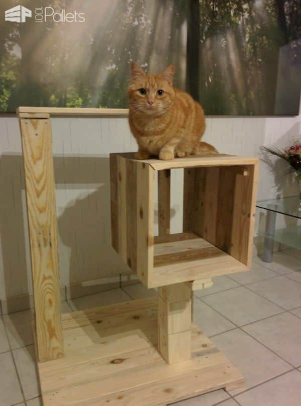 Cat Pallet Projects: Here Are 10 Amazing Ideas For Them! Animal Pallet Houses & Pallet Supplies Cat Pallet Projects: Here Are 10 Amazing Ideas For Them! Animal Pallet Houses & Pallet Supplies