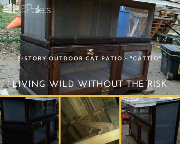 Cat Pallet Projects: Here Are 10 Amazing Ideas For Them! Animal Pallet Houses & Pallet Supplies Cat Pallet Projects: Here Are 10 Amazing Ideas For Them! Animal Pallet Houses & Pallet Supplies