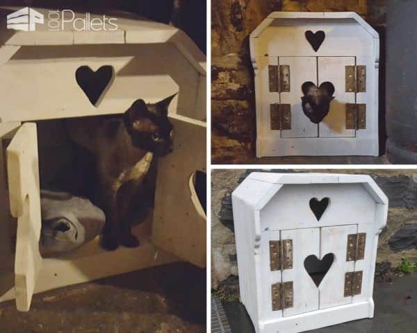 Cat Pallet Projects: Here Are 10 Amazing Ideas For Them! Animal Pallet Houses & Pallet Supplies Cat Pallet Projects: Here Are 10 Amazing Ideas For Them! Animal Pallet Houses & Pallet Supplies